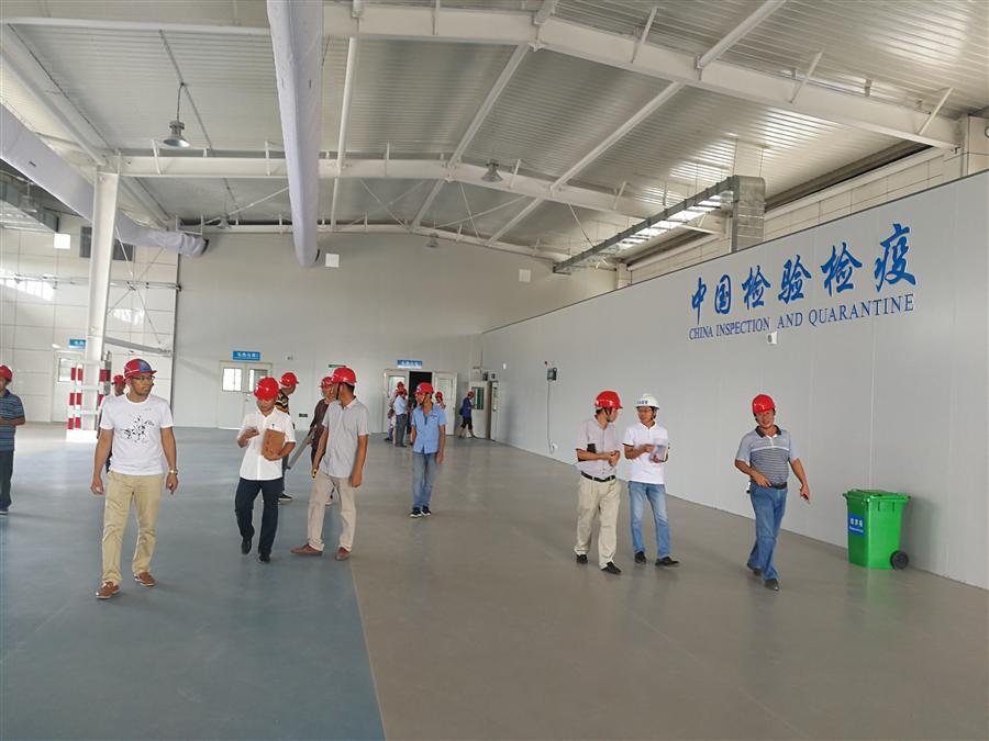 Z6·尊龙凯时「中国」官方网站