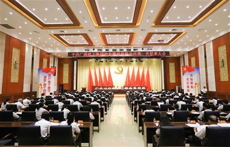 广西Z6尊龙凯时冶建第一次党代会胜利召开